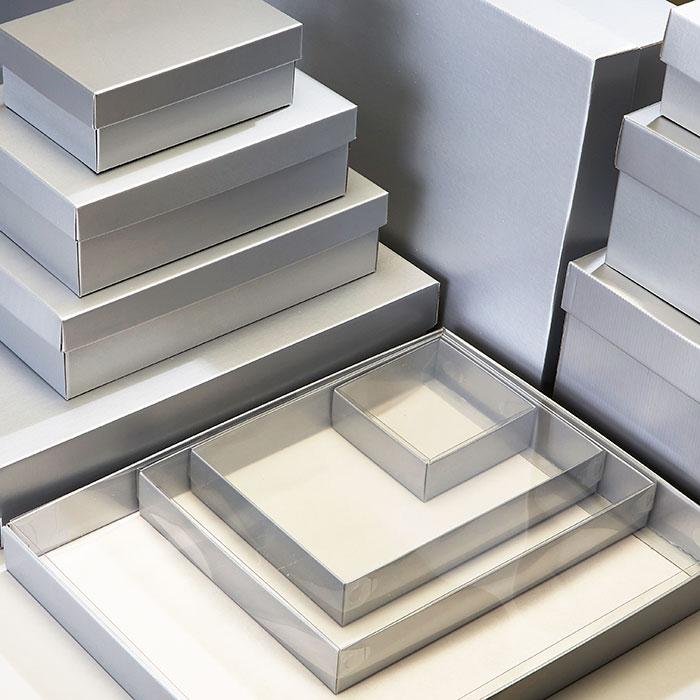 Large Clear Lid Boxes
