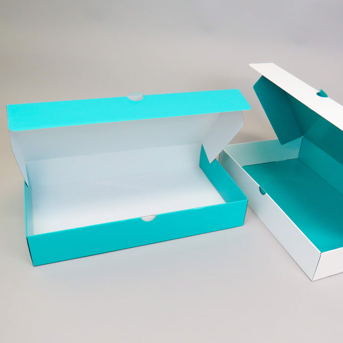 Ecommerce Postal Box 4 (Pack of 25)