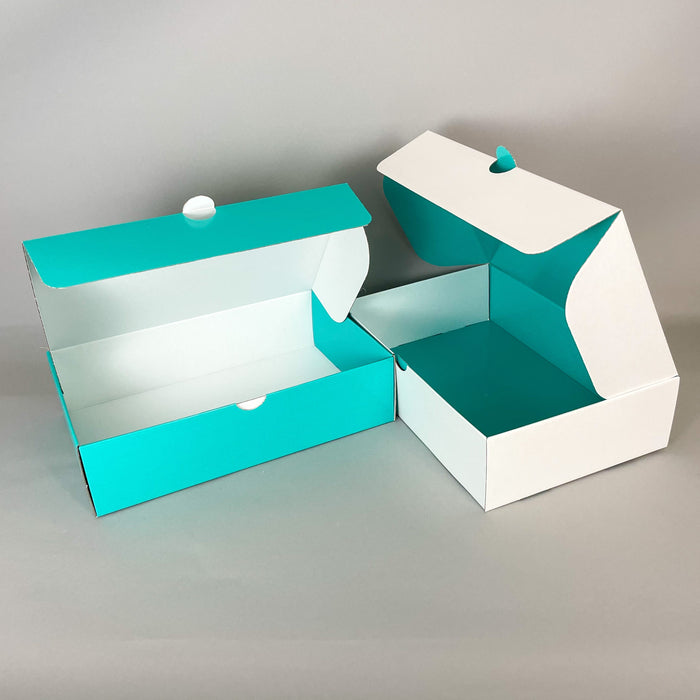 Ecommerce Postal Box 2 - 95mm (Pack of 25)